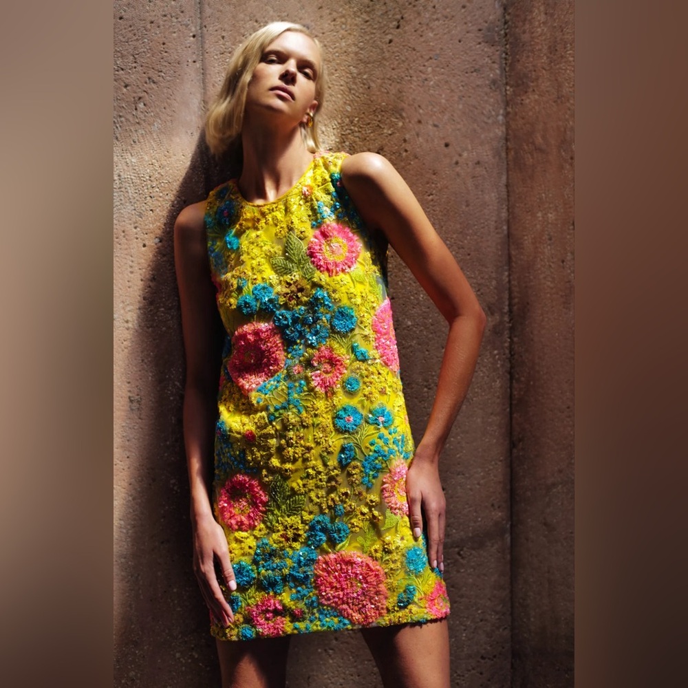 Le Superbe Day Shifter Dress, Size 4, Ojai Flower Sequins